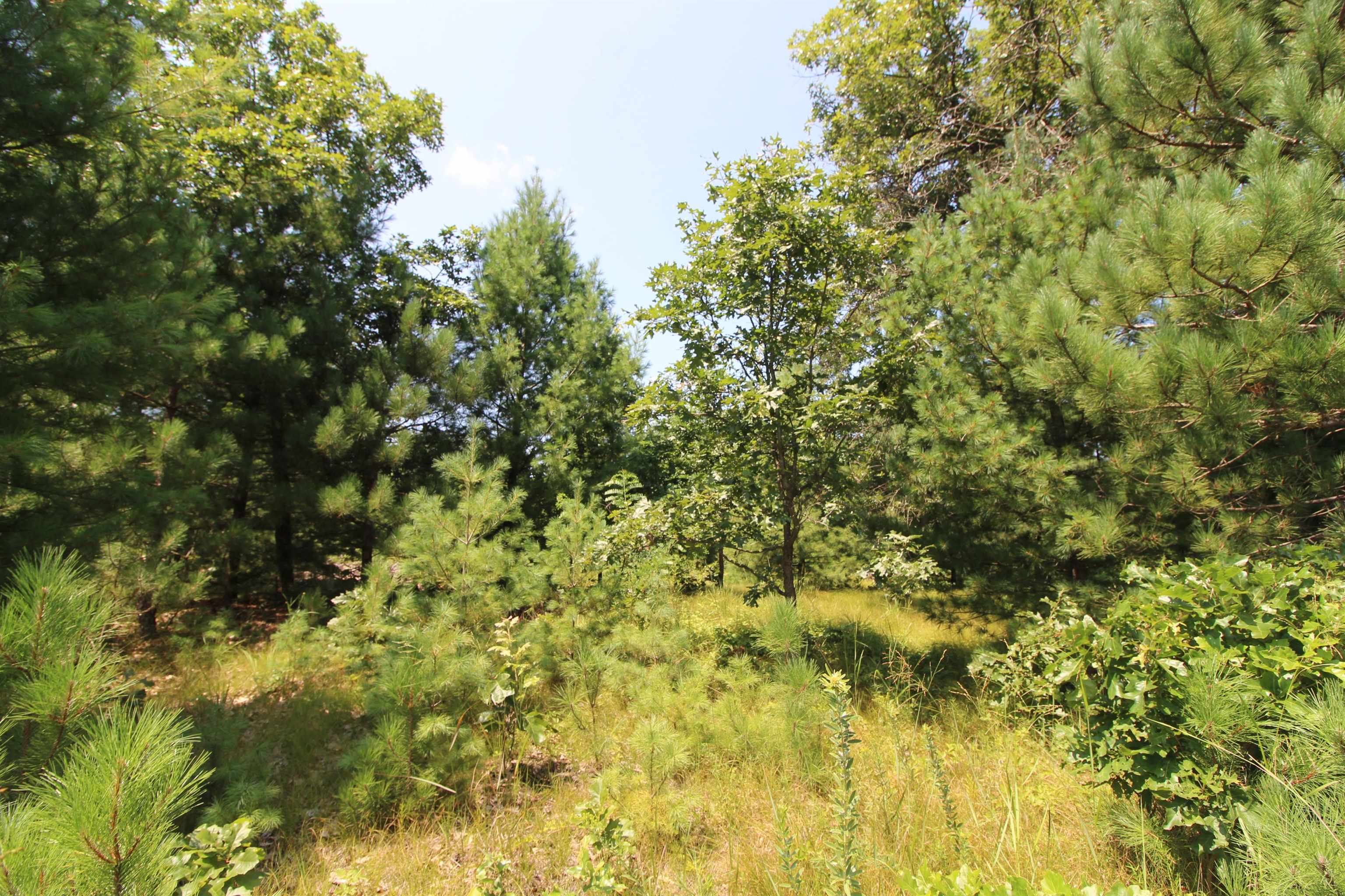 Lot20 Timber Spring Green, WI 53588 - Photo 23 of 28