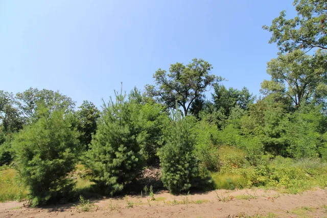$177,600 | Lot20 Lot20 Timber Spring Green, Spring Green, WI 53588