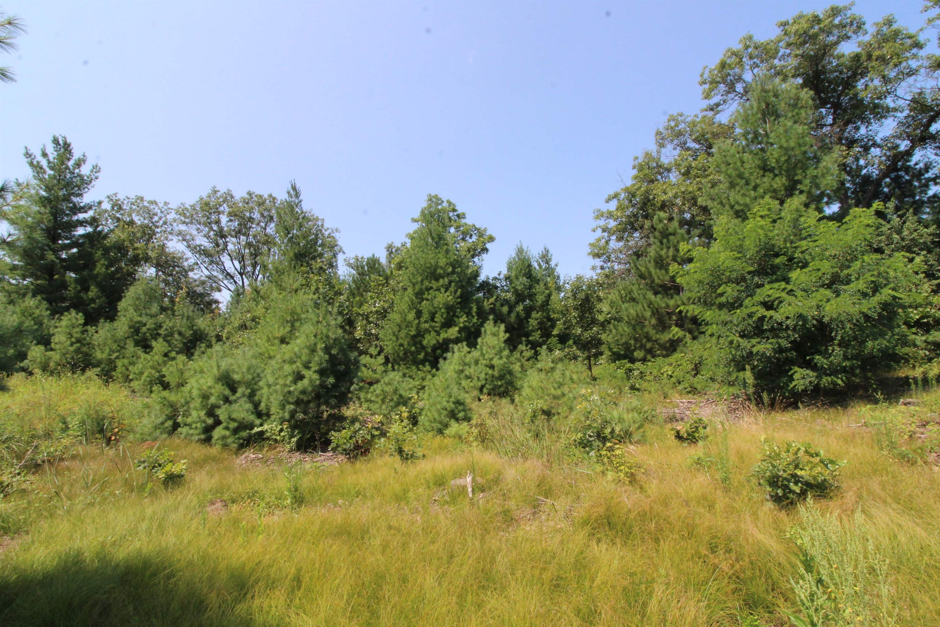 Lot20 Timber Spring Green, WI 53588 - Photo 26 of 28