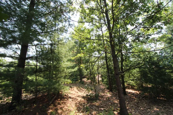 $177,600 | Lot20 Timber, Spring Green, WI 53588