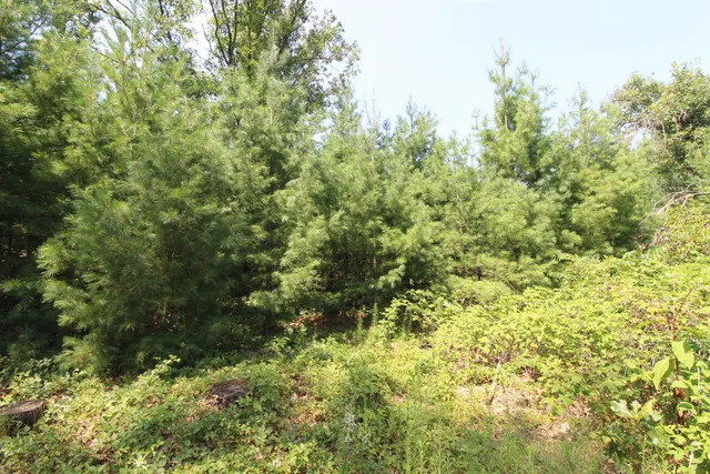 $177,600 | Lot20 Lot20 Timber Spring Green, Spring Green, WI 53588