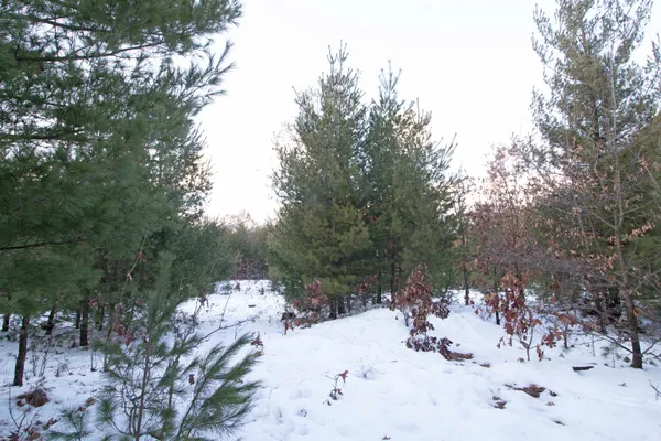$177,600 | Lot20 Timber, Spring Green, WI 53588