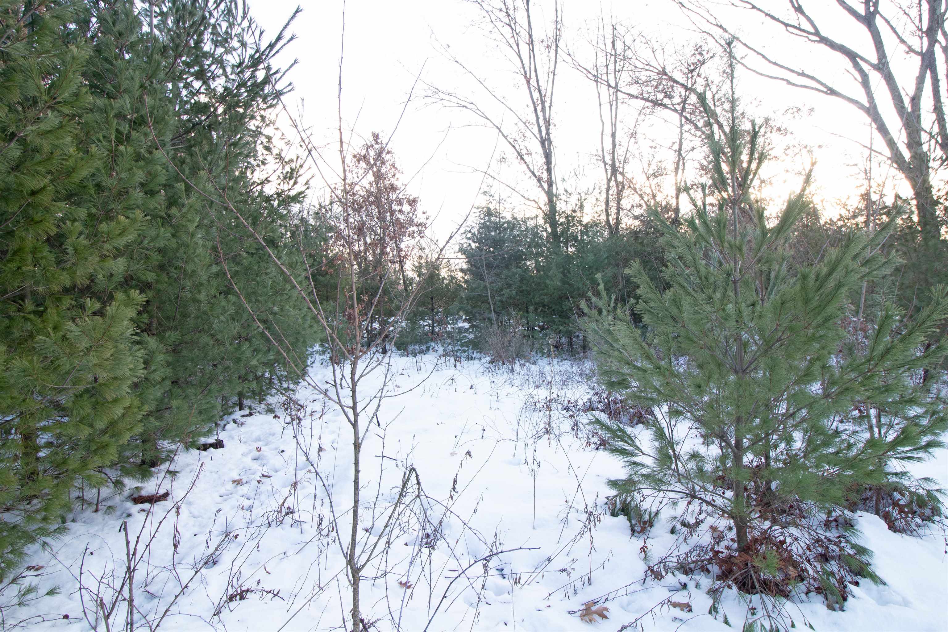 Lot20 Timber Spring Green, WI 53588 - Photo 4 of 28