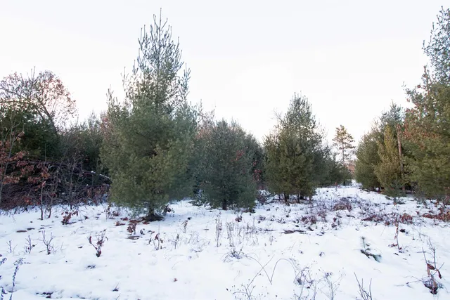 $177,600 | Lot20 Lot20 Timber Spring Green, Spring Green, WI 53588