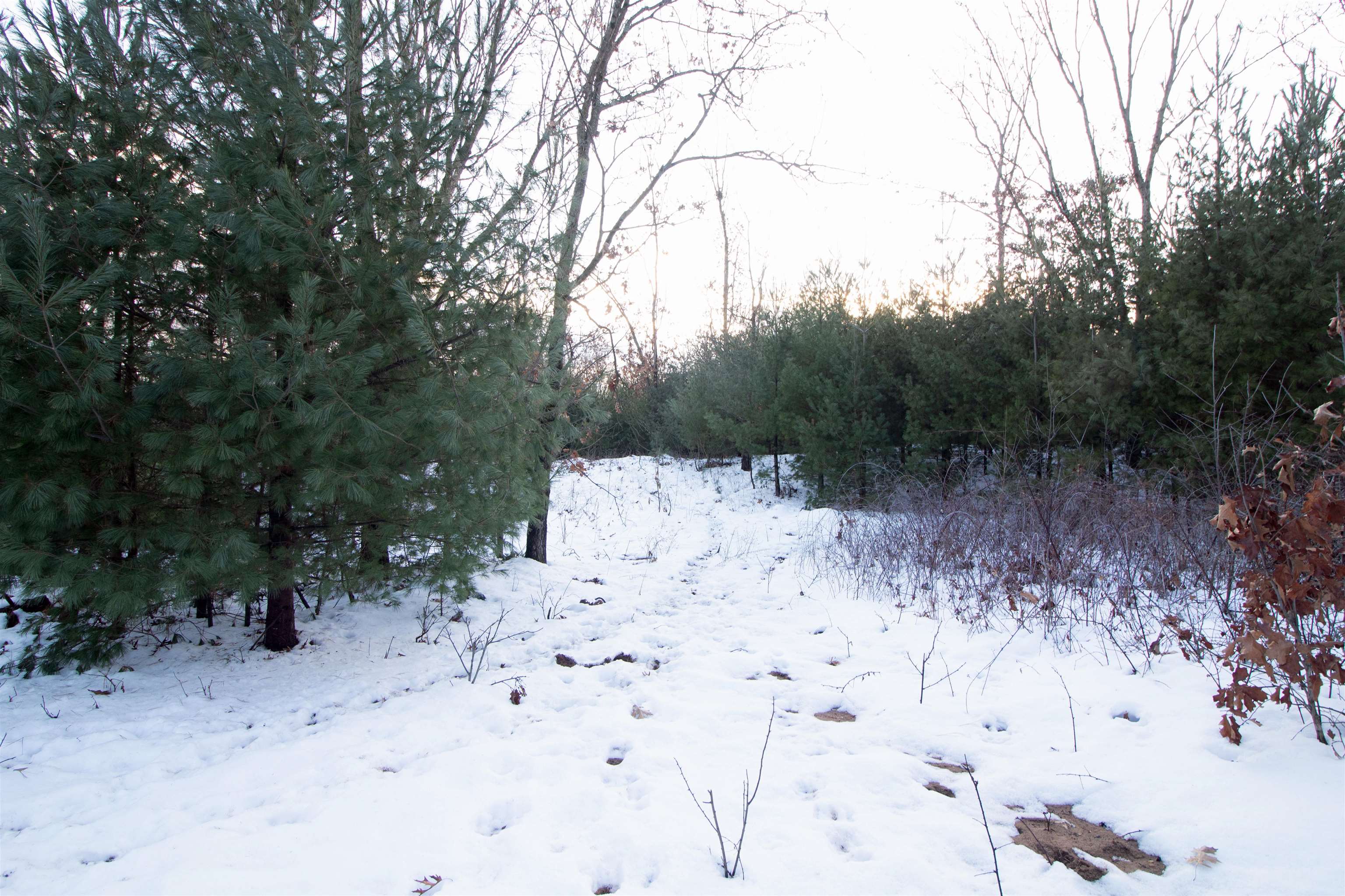 Lot20 Timber Spring Green, WI 53588 - Photo 6 of 28