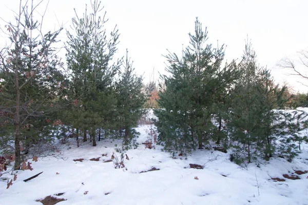 $177,600 | Lot20 Timber, Spring Green, WI 53588