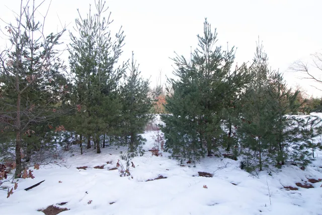 $177,600 | Lot20 Lot20 Timber Spring Green, Spring Green, WI 53588