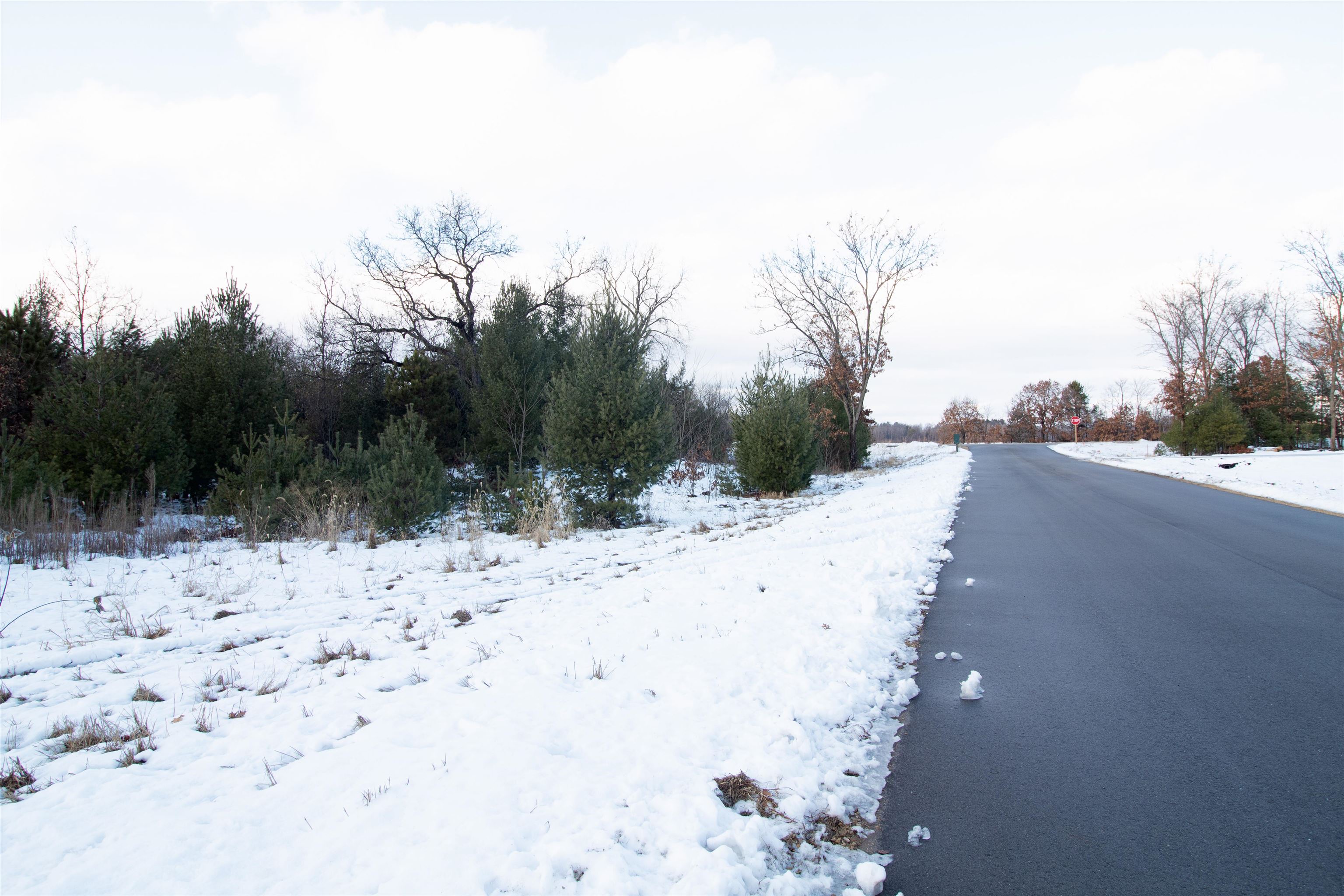 Lot20 Timber Spring Green, WI 53588 - Photo 8 of 28