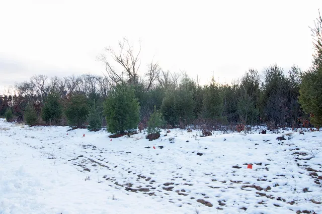 $177,600 | Lot20 Lot20 Timber Spring Green, Spring Green, WI 53588