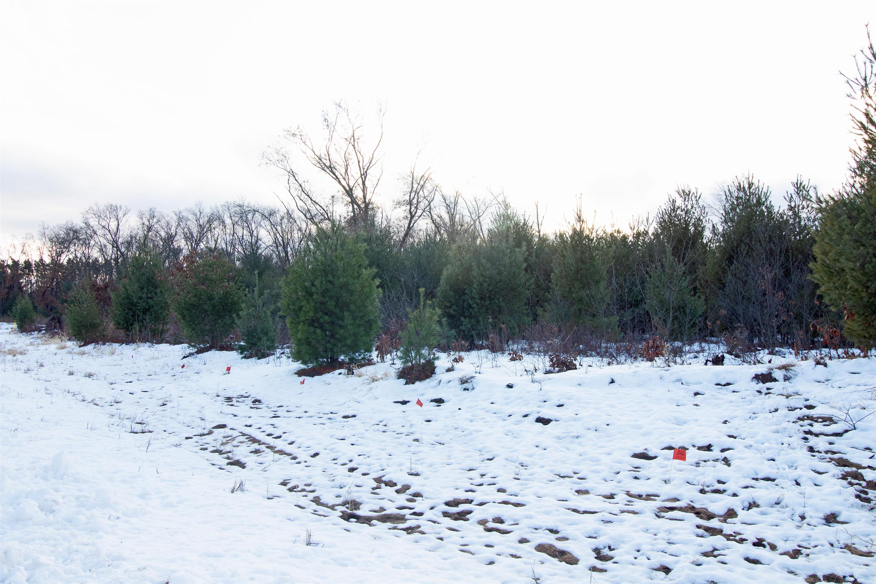 Lot20 Timber Spring Green, WI 53588 - Photo 9 of 28