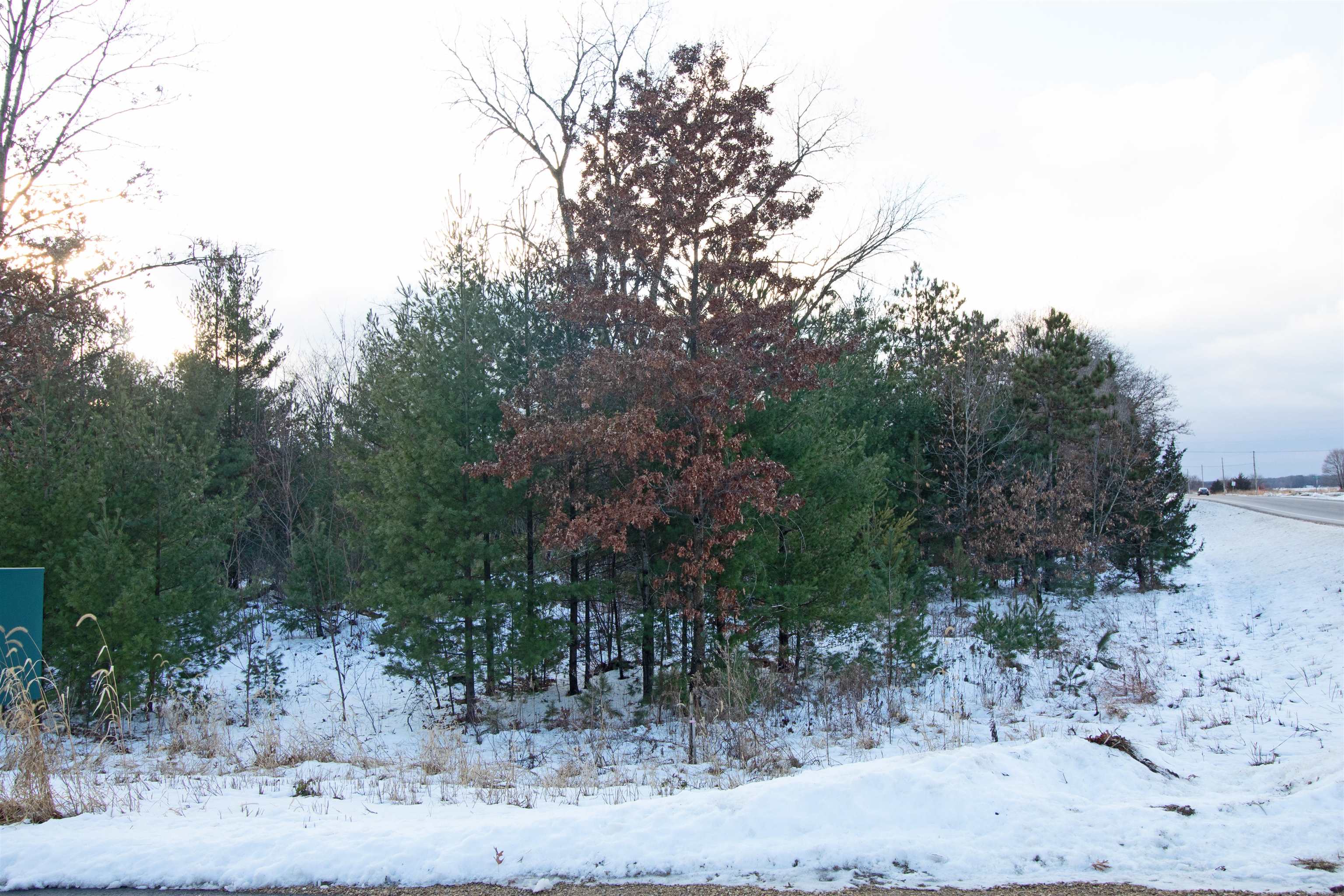 Lot20 Timber Spring Green, WI 53588 - Photo 10 of 28