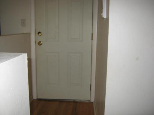 8142 South Drexel Avenue, Unit G Chicago, IL 60619 - Photo 7 of 11