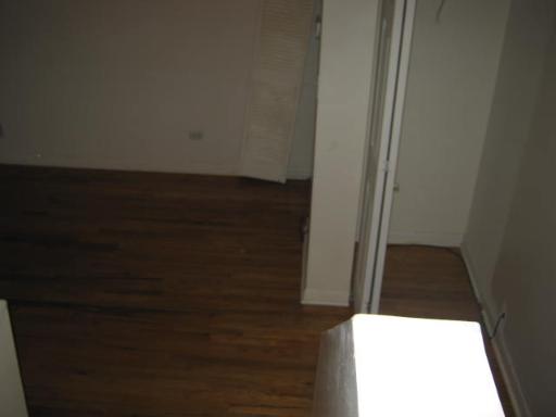 8142 South Drexel Avenue, Unit G Chicago, IL 60619 - Photo 10 of 11 a view of walk in closet