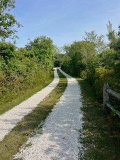 198 Hummock Pond Road Nantucket, MA 02554 - Photo 6 of 52
