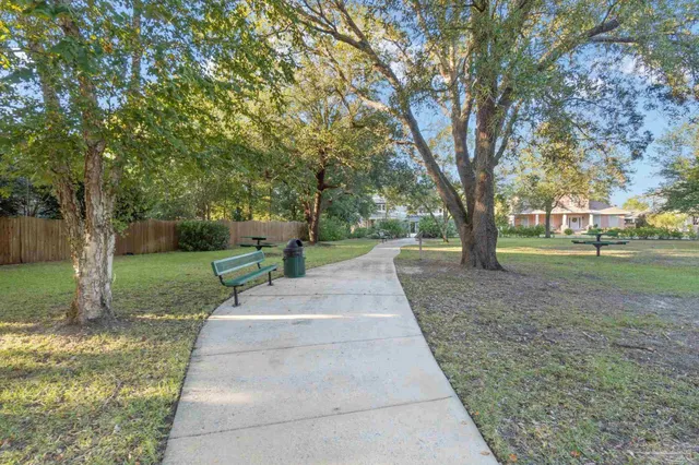 a view of a park with tree s