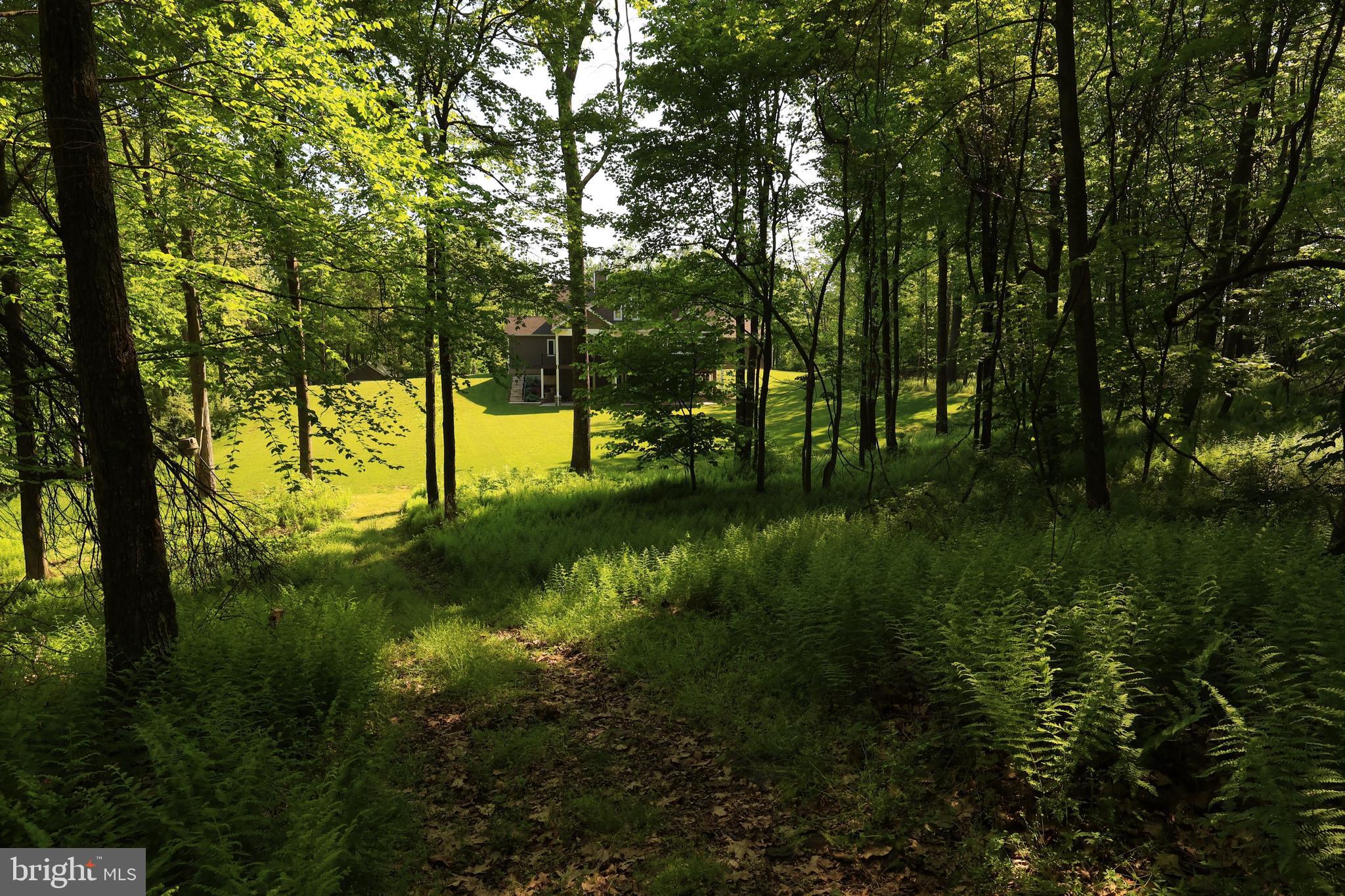 518 Two Mile Road Howard, PA 16841 - Photo 80 of 84 a view of an outdoor space with a lake view