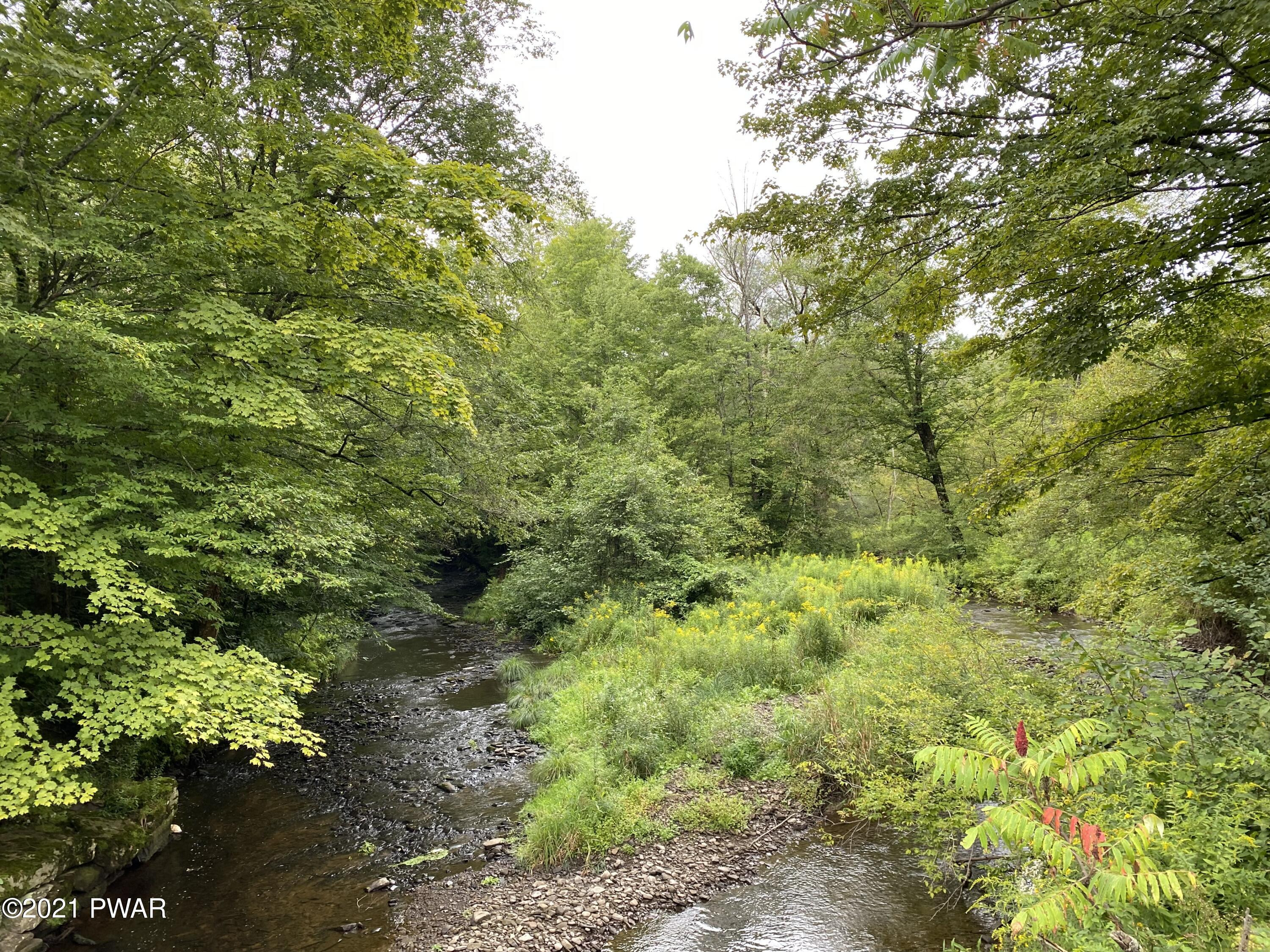 Chinamans Road Lakewood, PA 18439 - Photo 6 of 7