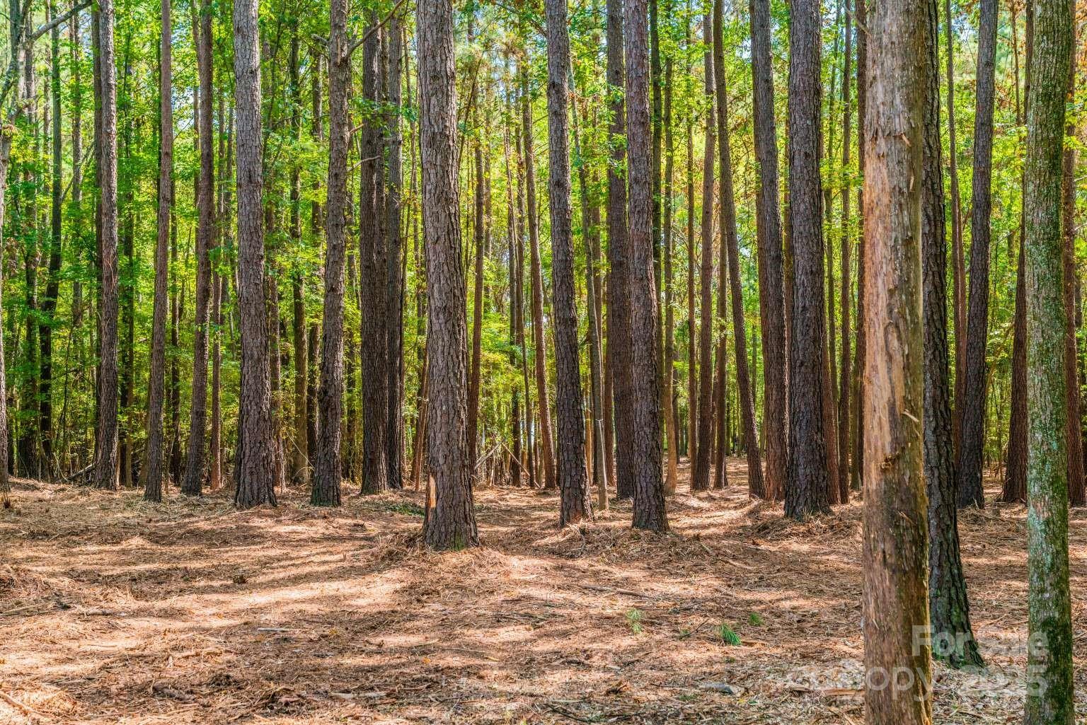 0 Concord Road, Unit LOT 6 York, SC 29745 - Photo 1 of 4