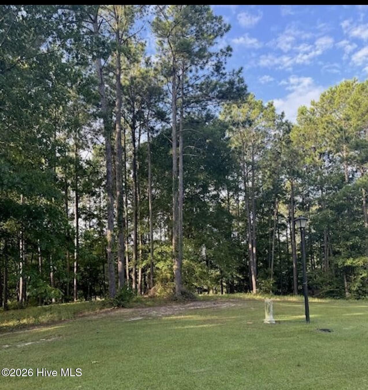 1049 Mill Creek Road Minnesott Beach, NC 28510 - Photo 2 of 9 Mill creek lot 2