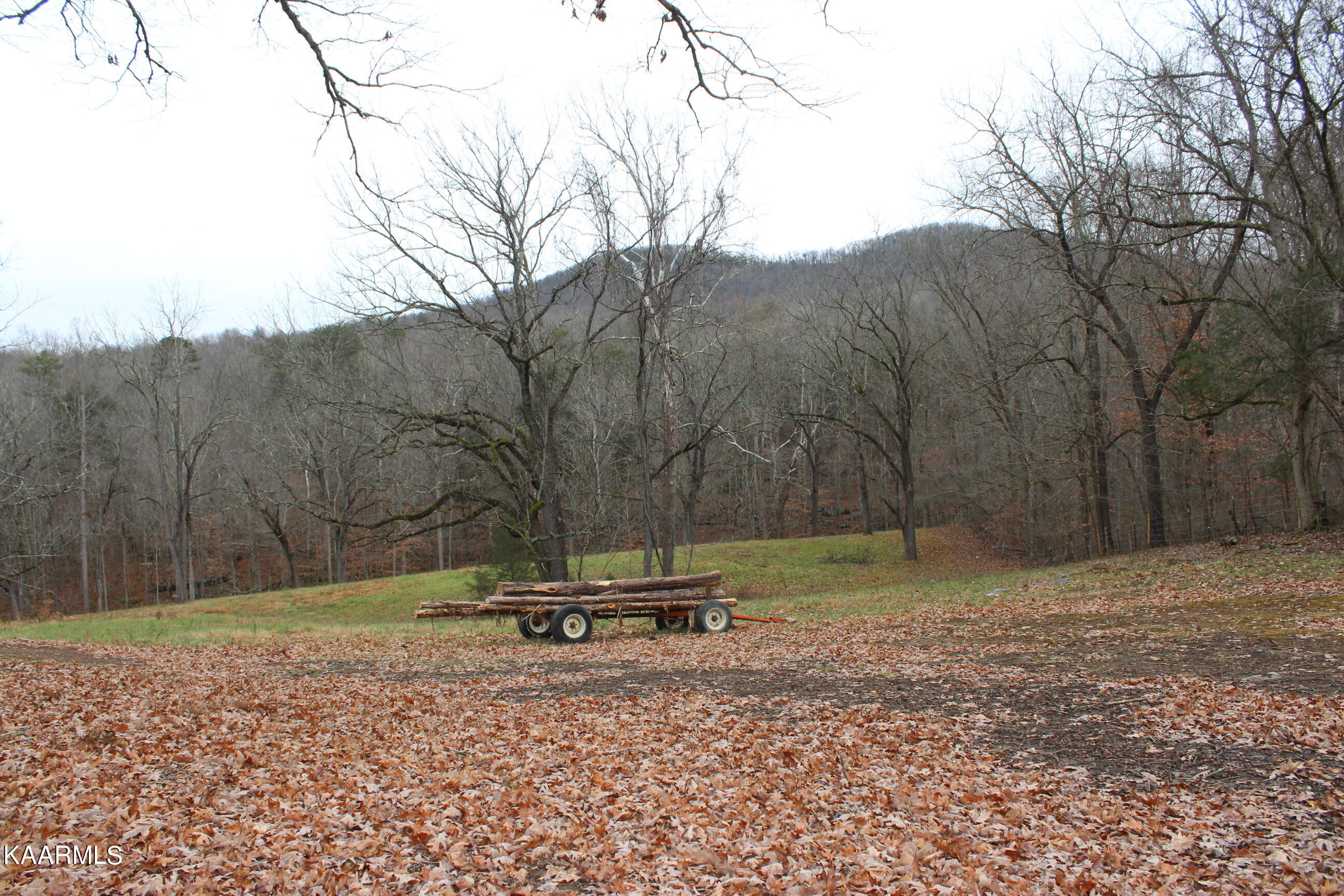 Will Patton Road Pall Mall, TN 38577 - Photo 1 of 4 091
