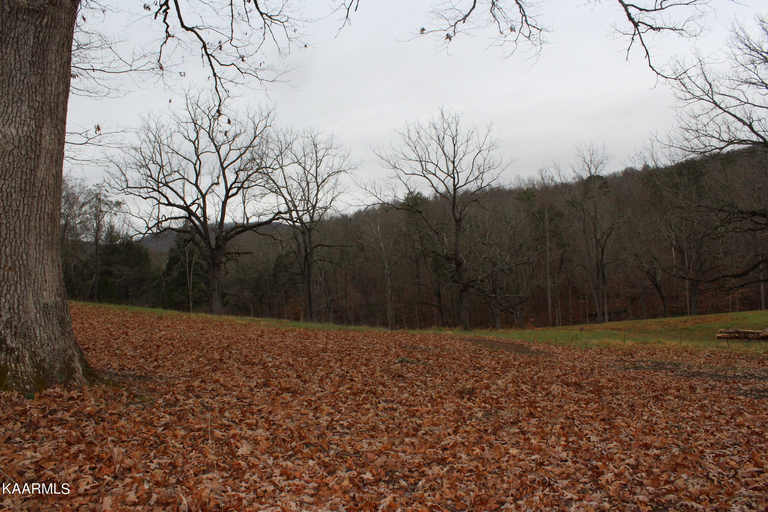 Will Patton Road Pall Mall, TN 38577 - Photo 2 of 4 092