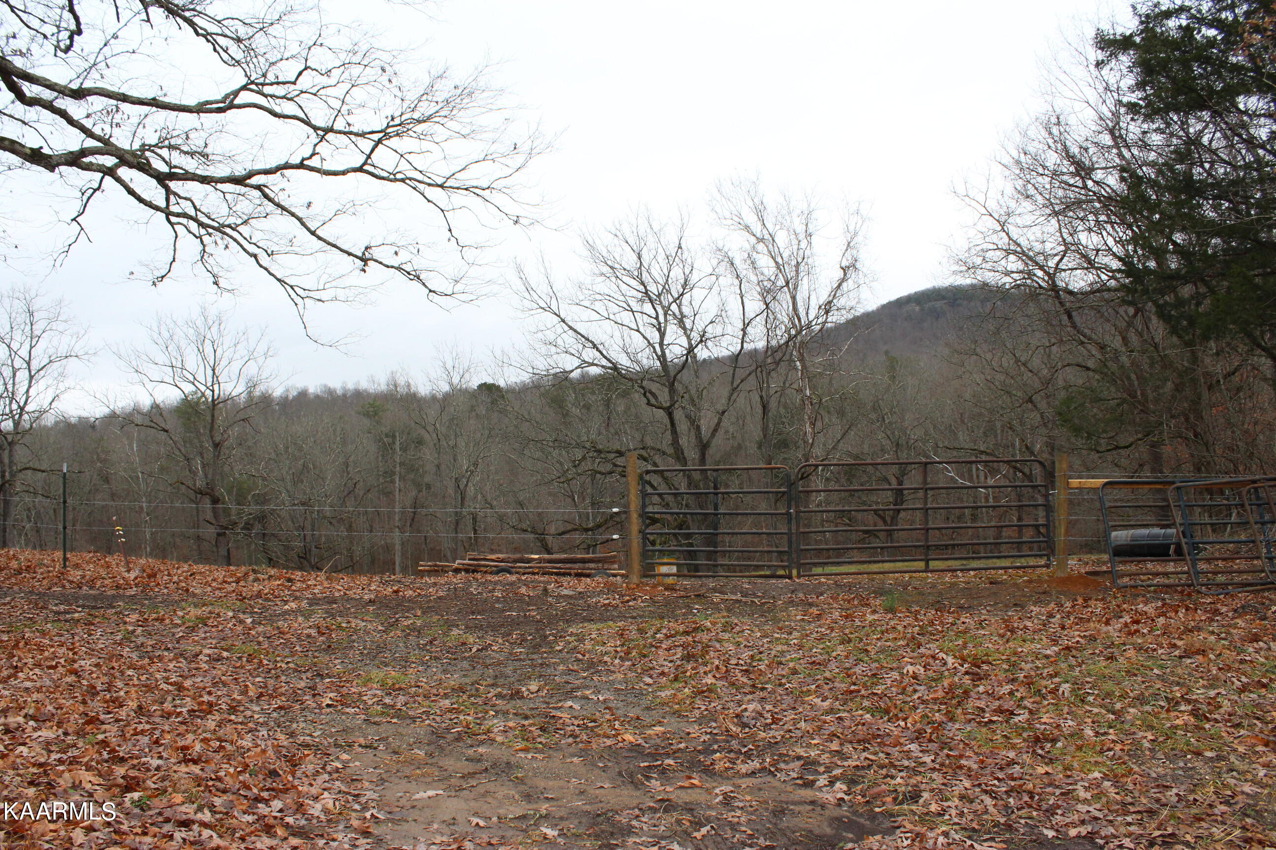Will Patton Road Pall Mall, TN 38577 - Photo 3 of 4 093