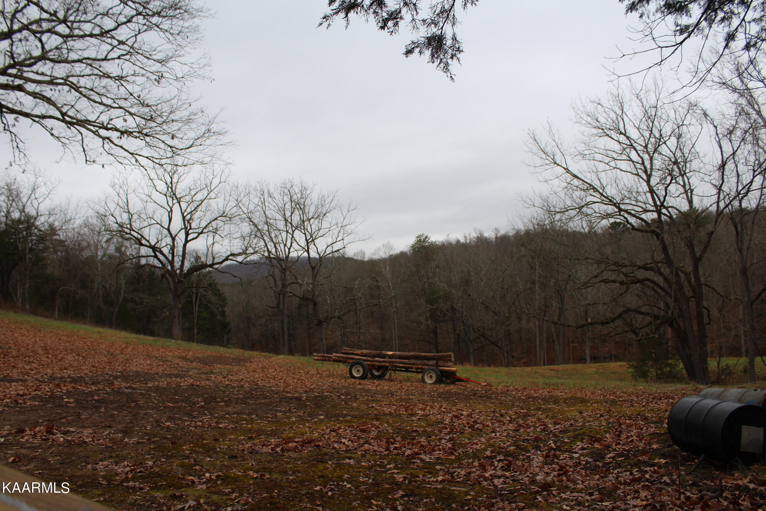 Will Patton Road Pall Mall, TN 38577 - Photo 4 of 4 094