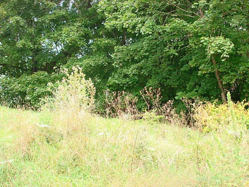 57 Spring Street Gardiner, ME 04345 - Photo 8 of 21 Yard/Garden.