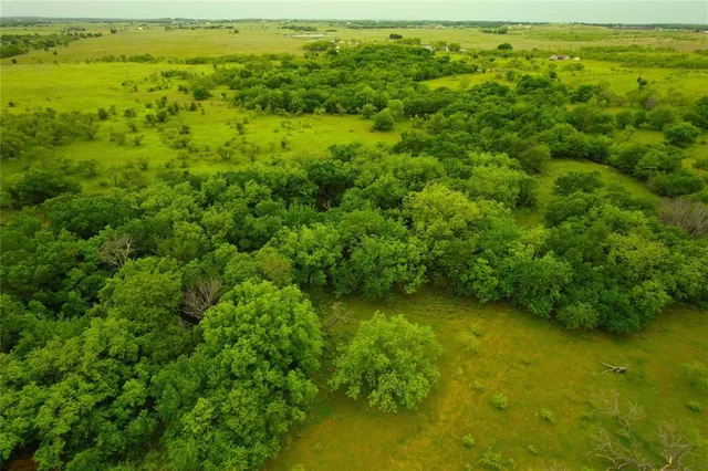 a view of a large yard with lots of trees