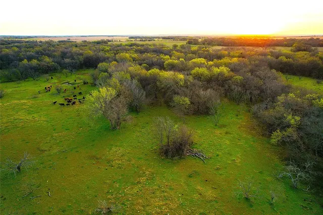 a view of a field with an ocean