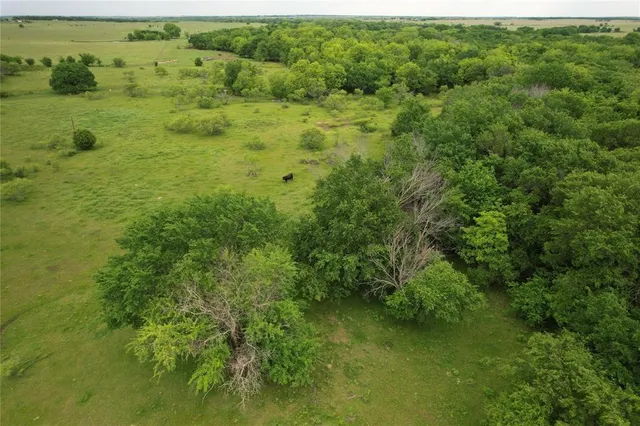 a view of a green field with lots of bushes