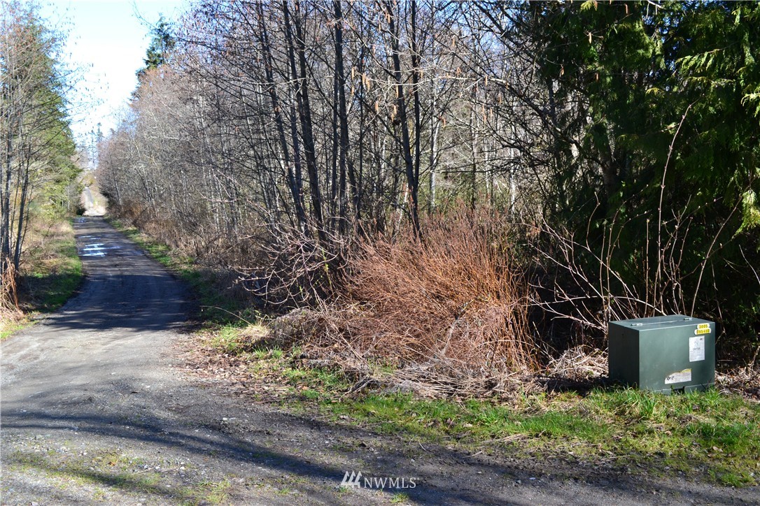 0 Lake Farm Road Port Angeles, WA 98362 - Photo 2 of 17 Gallery Image 2