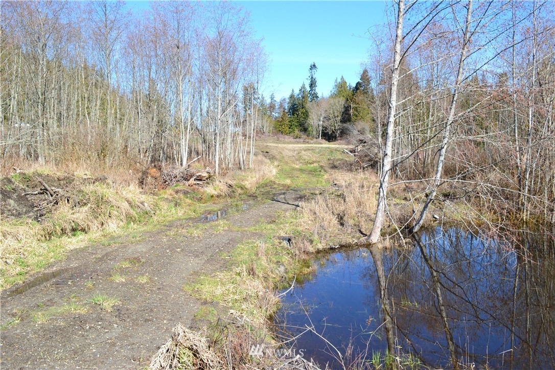 0 Lake Farm Road Port Angeles, WA 98362 - Photo 11 of 17 Gallery Image 11