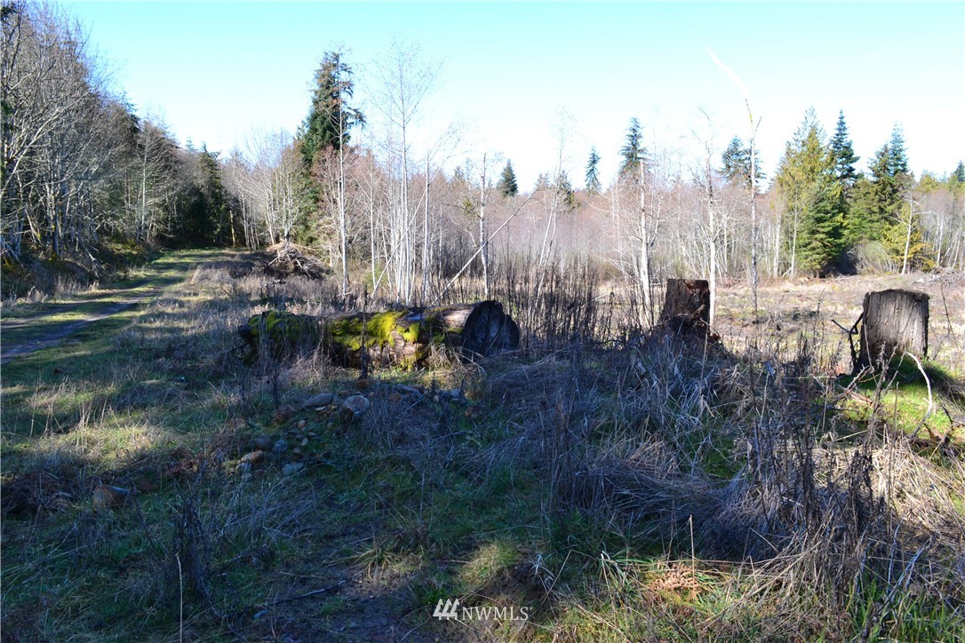0 Lake Farm Road Port Angeles, WA 98362 - Photo 13 of 17 Gallery Image 13