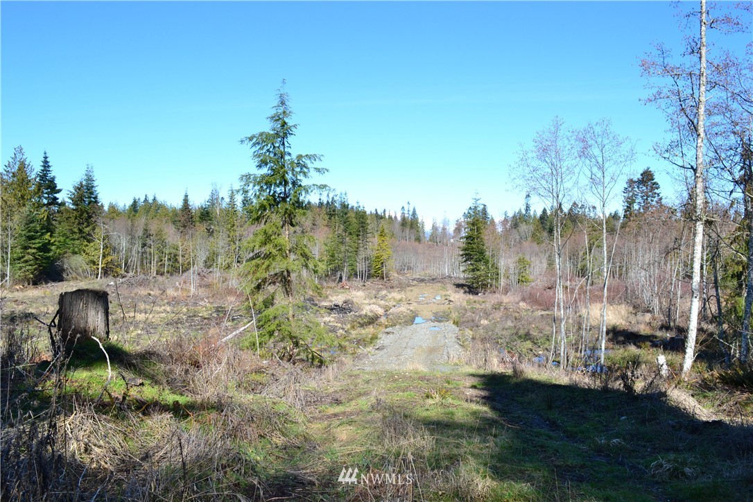 0 Lake Farm Road Port Angeles, WA 98362 - Photo 14 of 17 Gallery Image 14