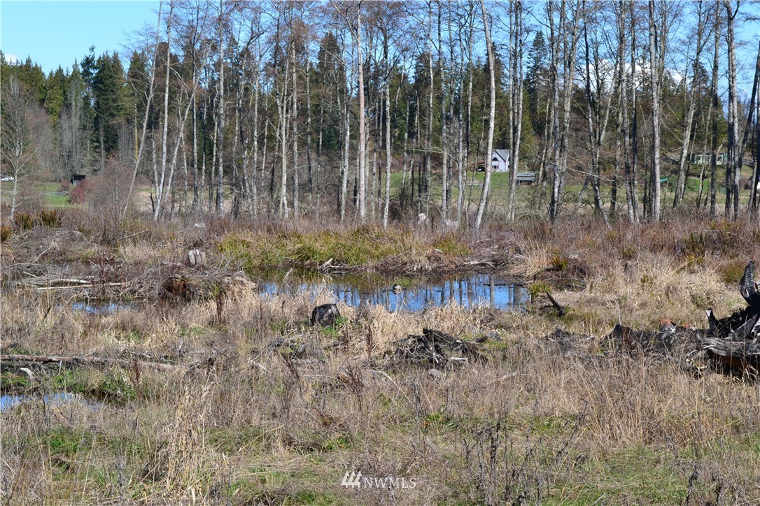 0 Lake Farm Road Port Angeles, WA 98362 - Photo 16 of 17 Gallery Image 16