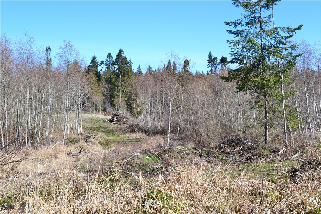 0 Lake Farm Road Port Angeles, WA 98362 - Photo 3 of 17 Gallery Image 3