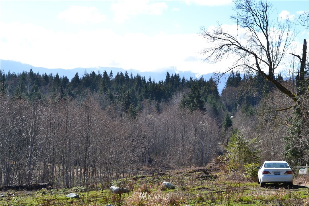 0 Lake Farm Road Port Angeles, WA 98362 - Photo 4 of 17 Gallery Image 4