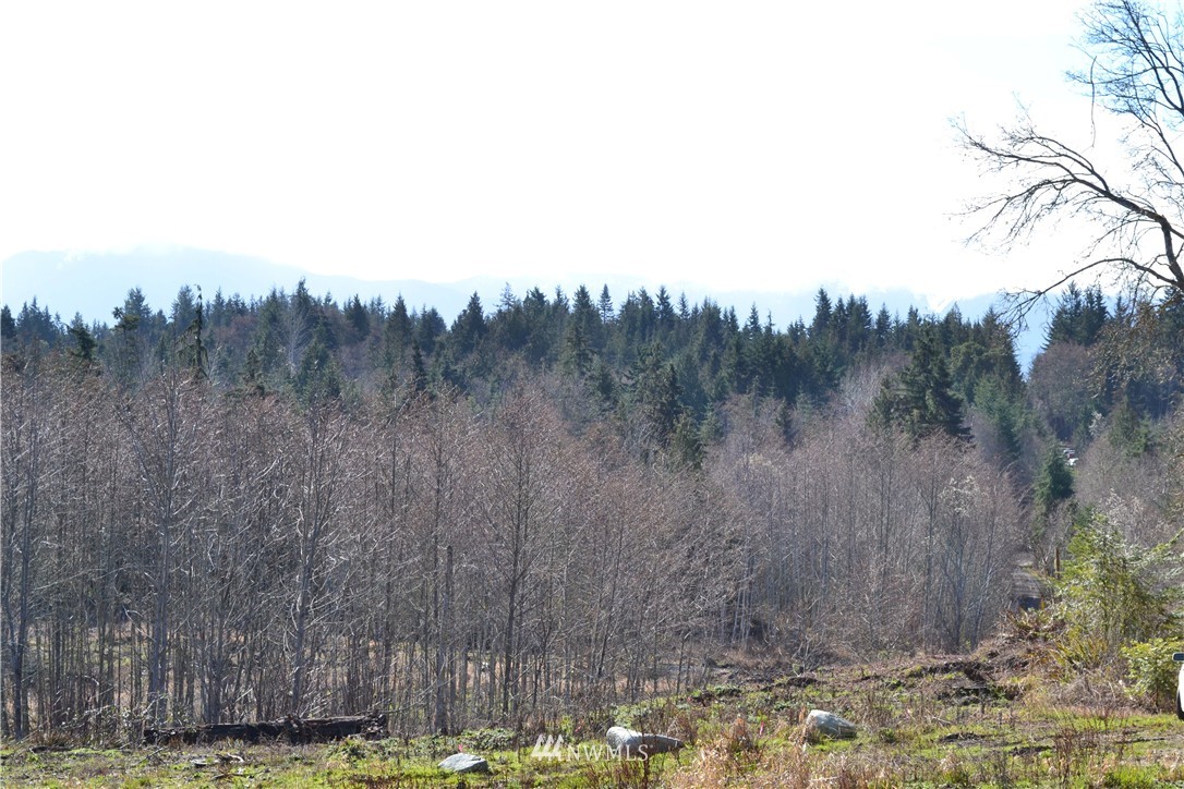 0 Lake Farm Road Port Angeles, WA 98362 - Photo 5 of 17 Gallery Image 5