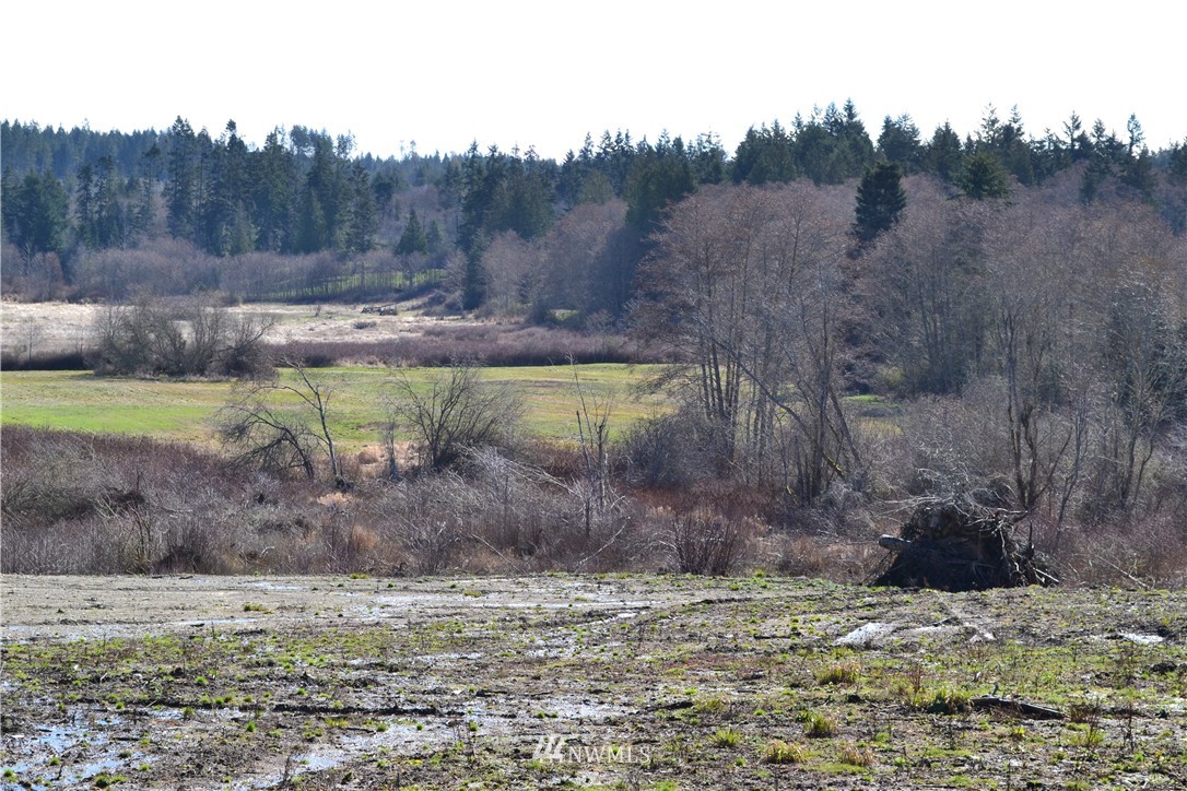 0 Lake Farm Road Port Angeles, WA 98362 - Photo 7 of 17 Gallery Image 7