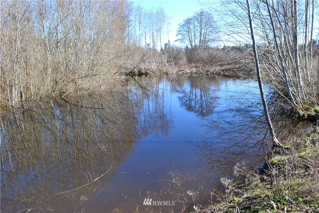 0 Lake Farm Road Port Angeles, WA 98362 - Photo 10 of 17 Gallery Image 10