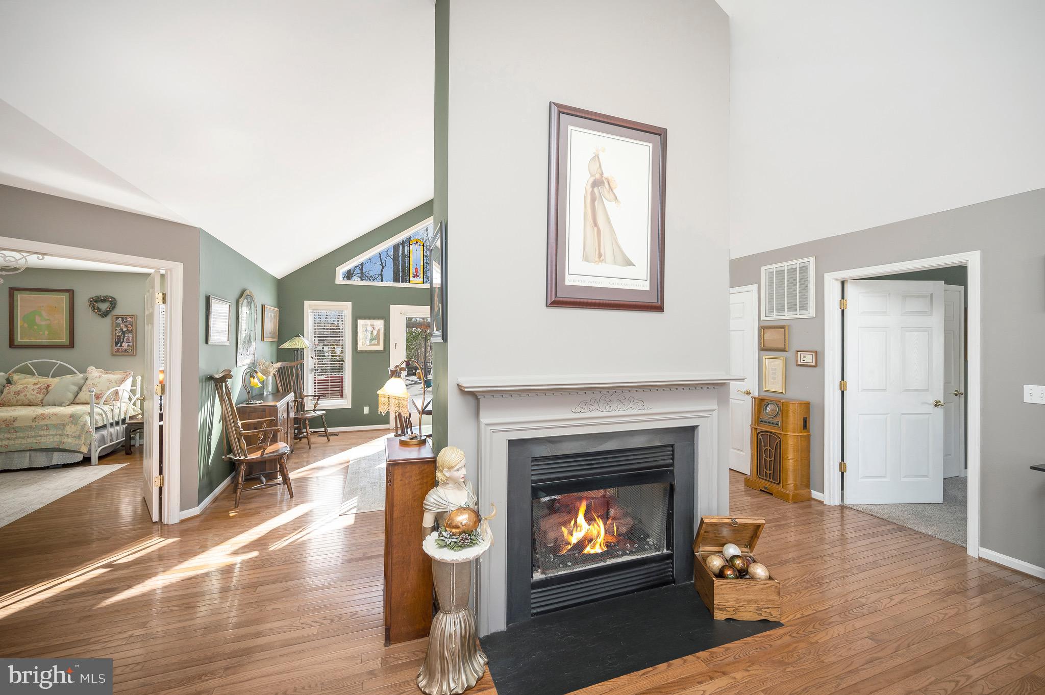 119 Washington Street Locust Grove, VA 22508 - Photo 6 of 45 Double sided fireplace