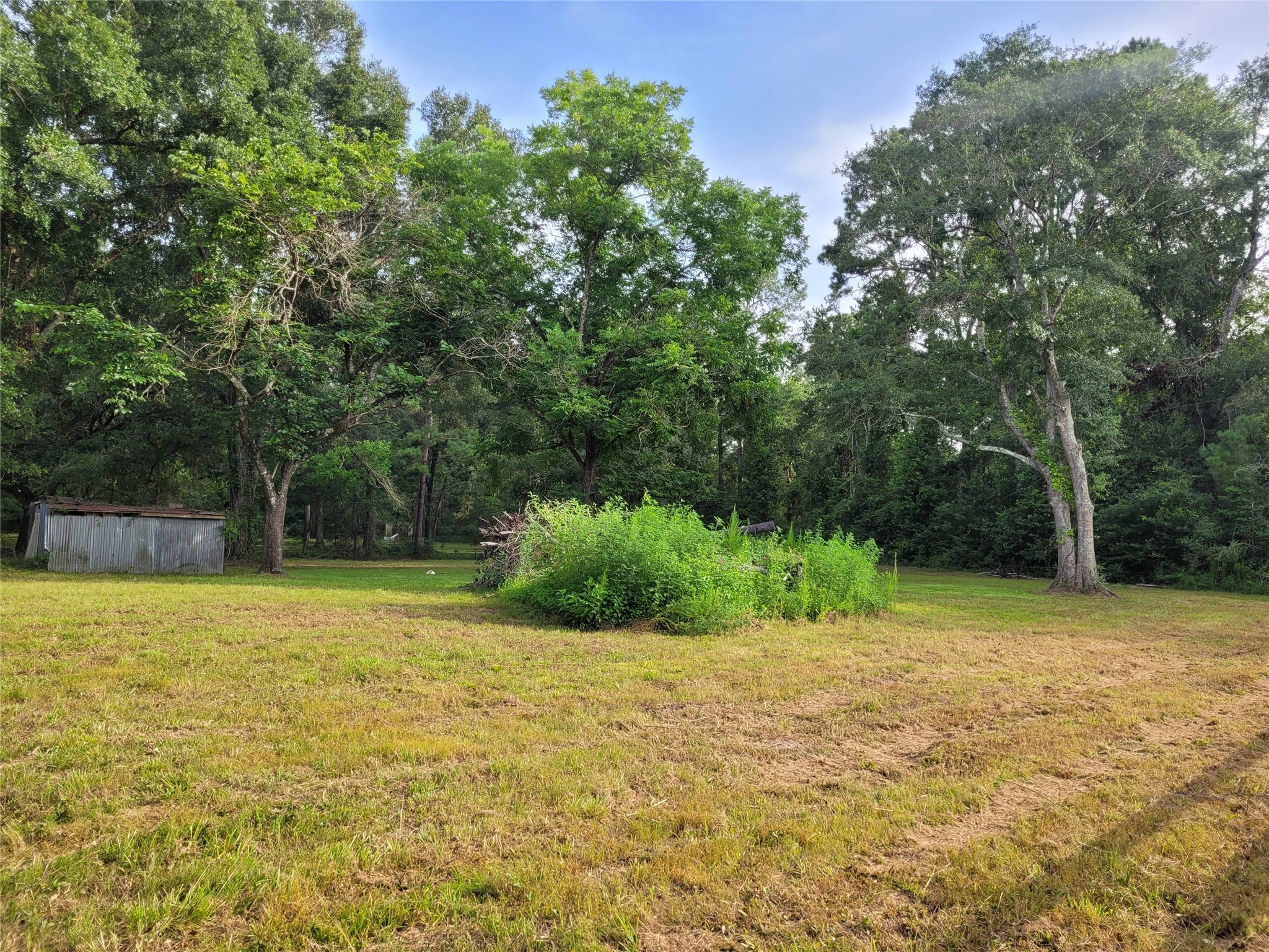 17038 Payne Road Conroe, TX 77302 - Photo 11 of 24 a view of a yard with a trees