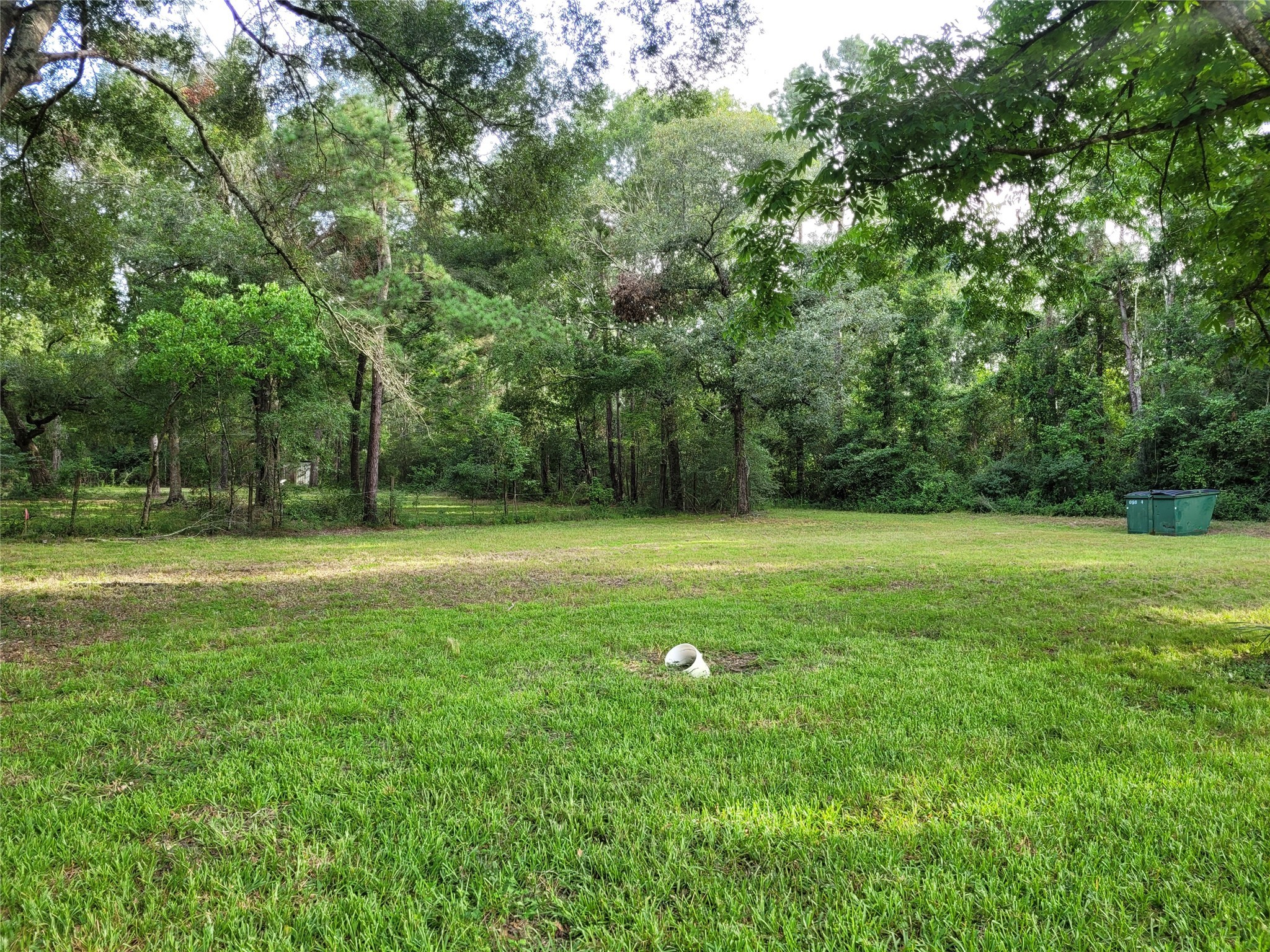 0 Payne Road Conroe, TX 77302 - Photo 11 of 20 a view of a garden with a tree