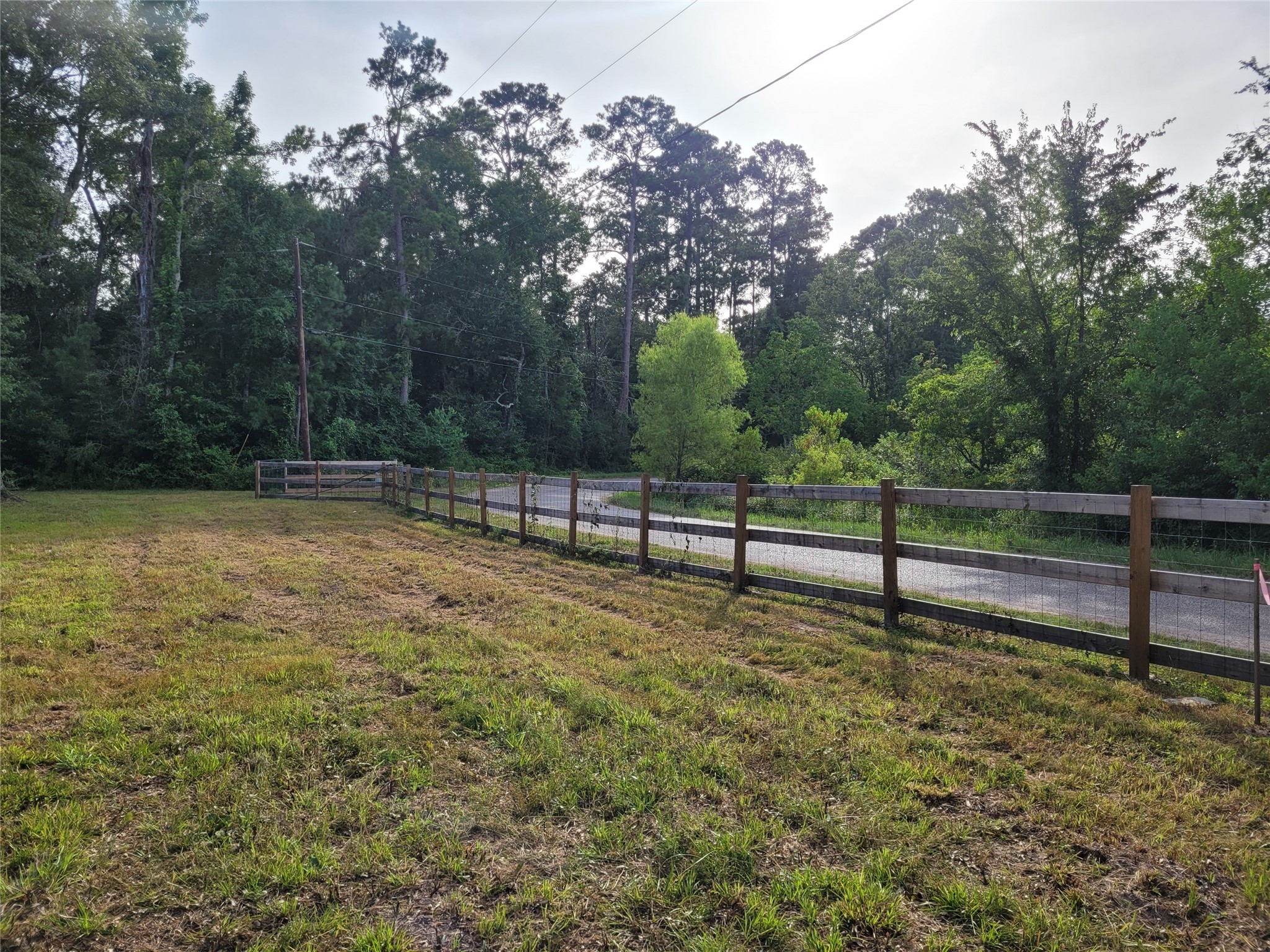 17038 Payne Road Conroe, TX 77302 - Photo 14 of 24 a view of a yard with wooden fence