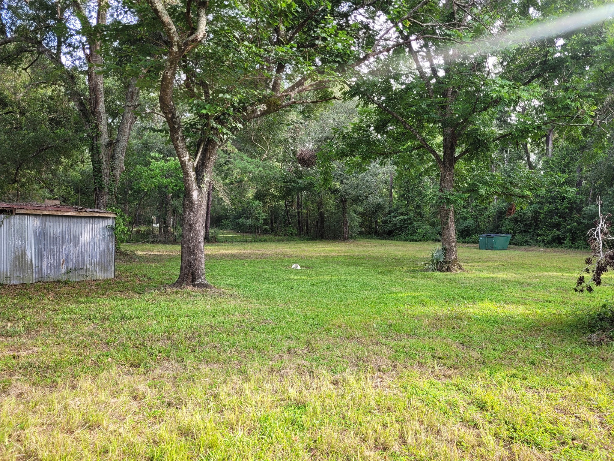 0 Payne Road Conroe, TX 77302 - Photo 15 of 20 a backyard of a house with lots of plants and large tree