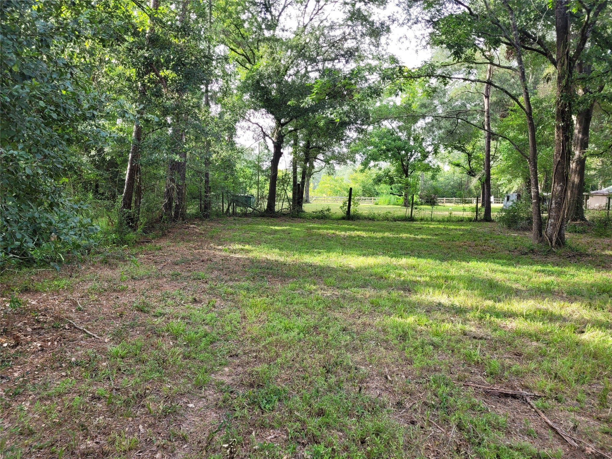 17038 Payne Road Conroe, TX 77302 - Photo 16 of 24 a view of a trees in a yard