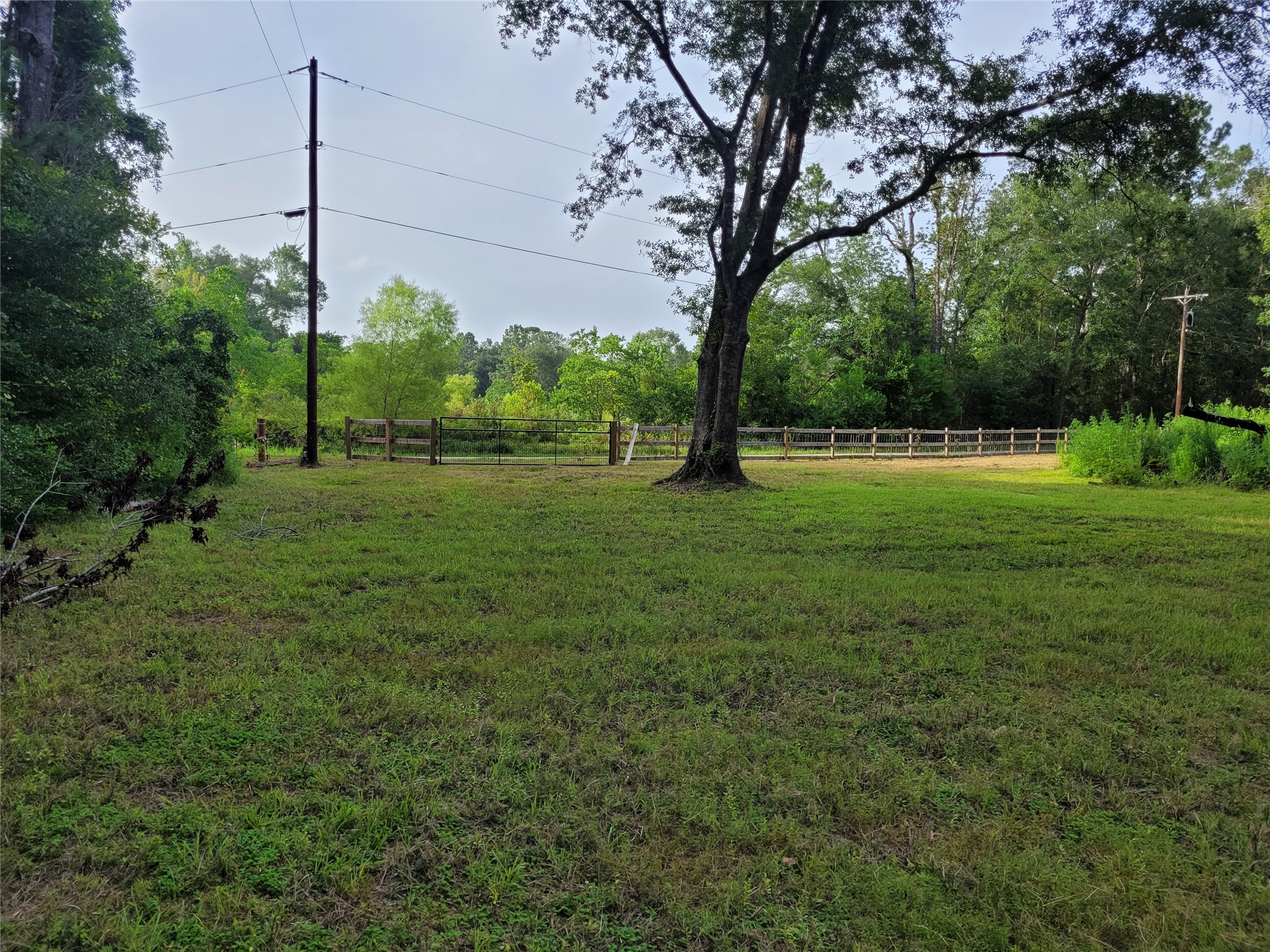 17038 Payne Road Conroe, TX 77302 - Photo 18 of 24 a view of field with large trees