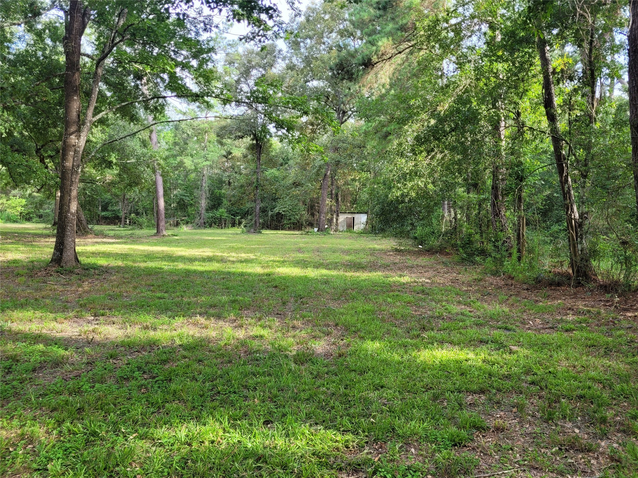 0 Payne Road Conroe, TX 77302 - Photo 20 of 20 a view of a grassy field with trees in the background