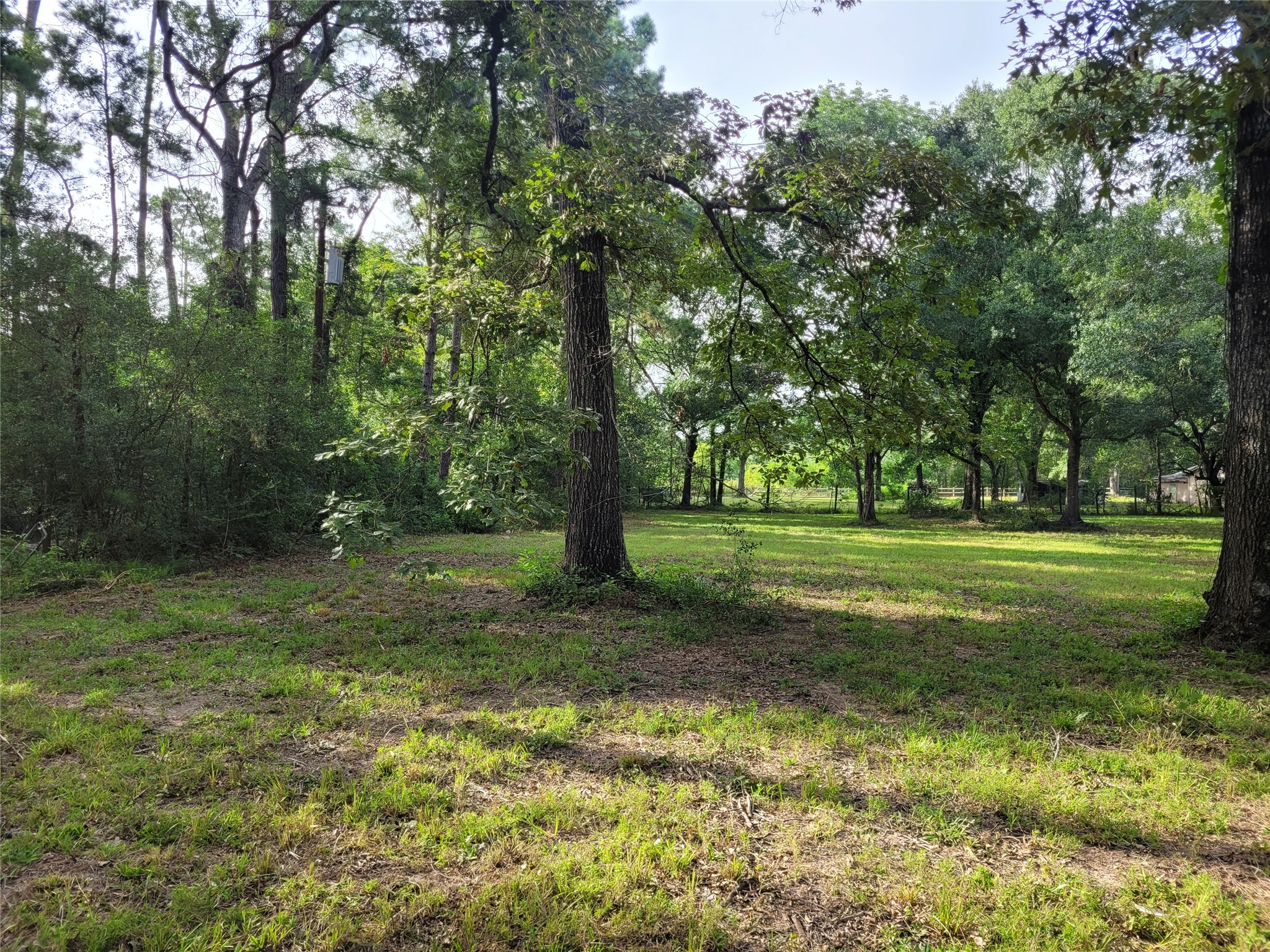 17038 Payne Road Conroe, TX 77302 - Photo 22 of 24 a view of a grassy field with trees